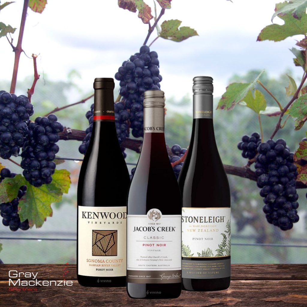 Red wine pinot noir bottles for sale in Gray Mackenzie & Partners (GMP) stores.